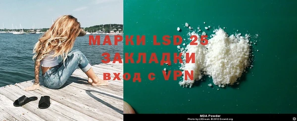 эйфоретик Алзамай