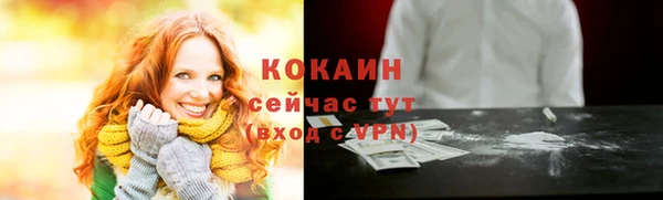дживик Алексин