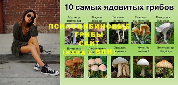 ECSTASY Алексеевка