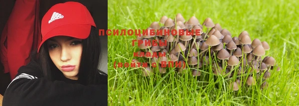 дживик Алексин