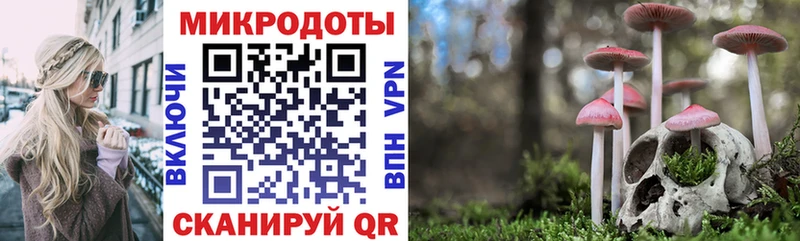 Псилоцибиновые грибы мухоморы  ОМГ ОМГ ссылки  даркнет официальный сайт  Липки 